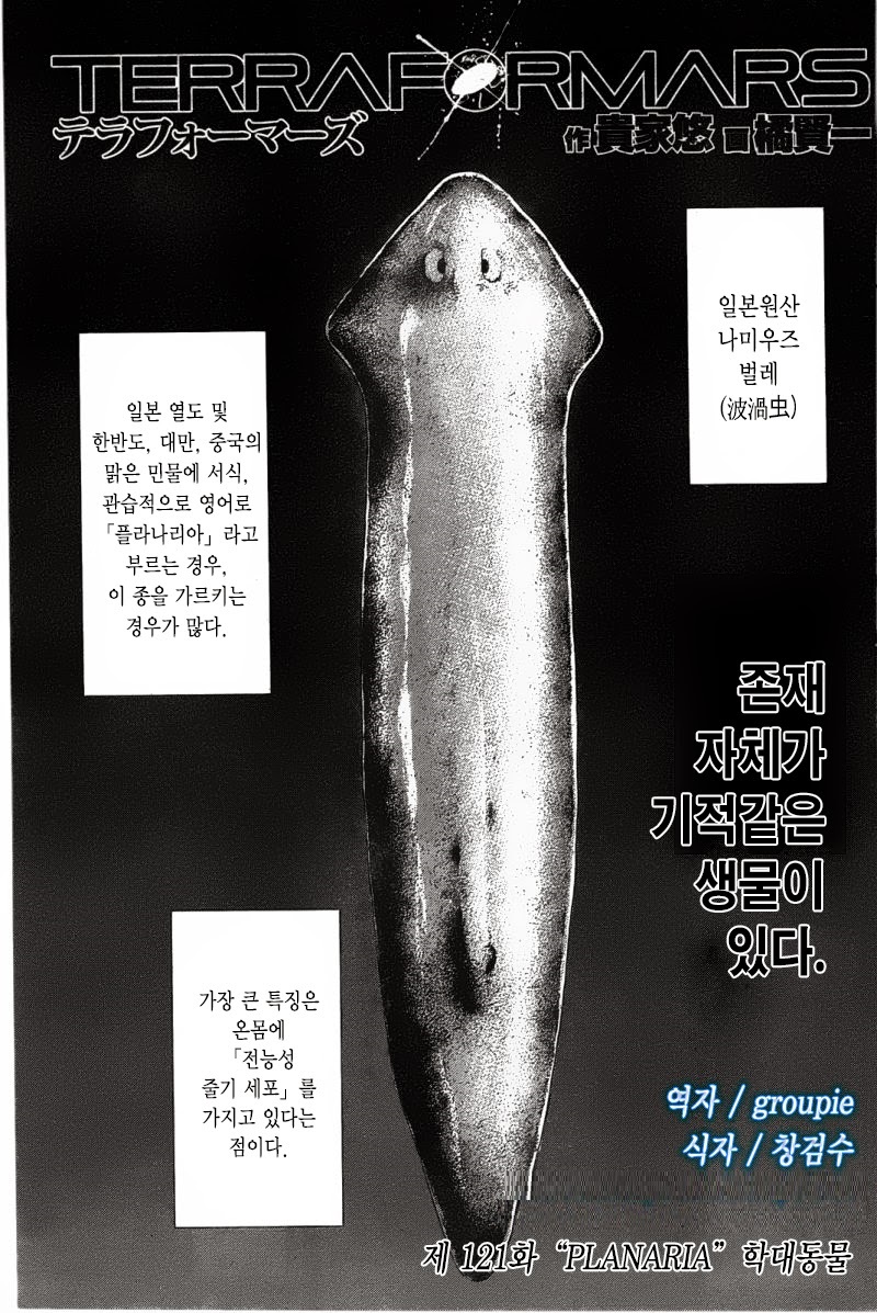 테라포마스 121~125화 - 웹툰 이미지 3