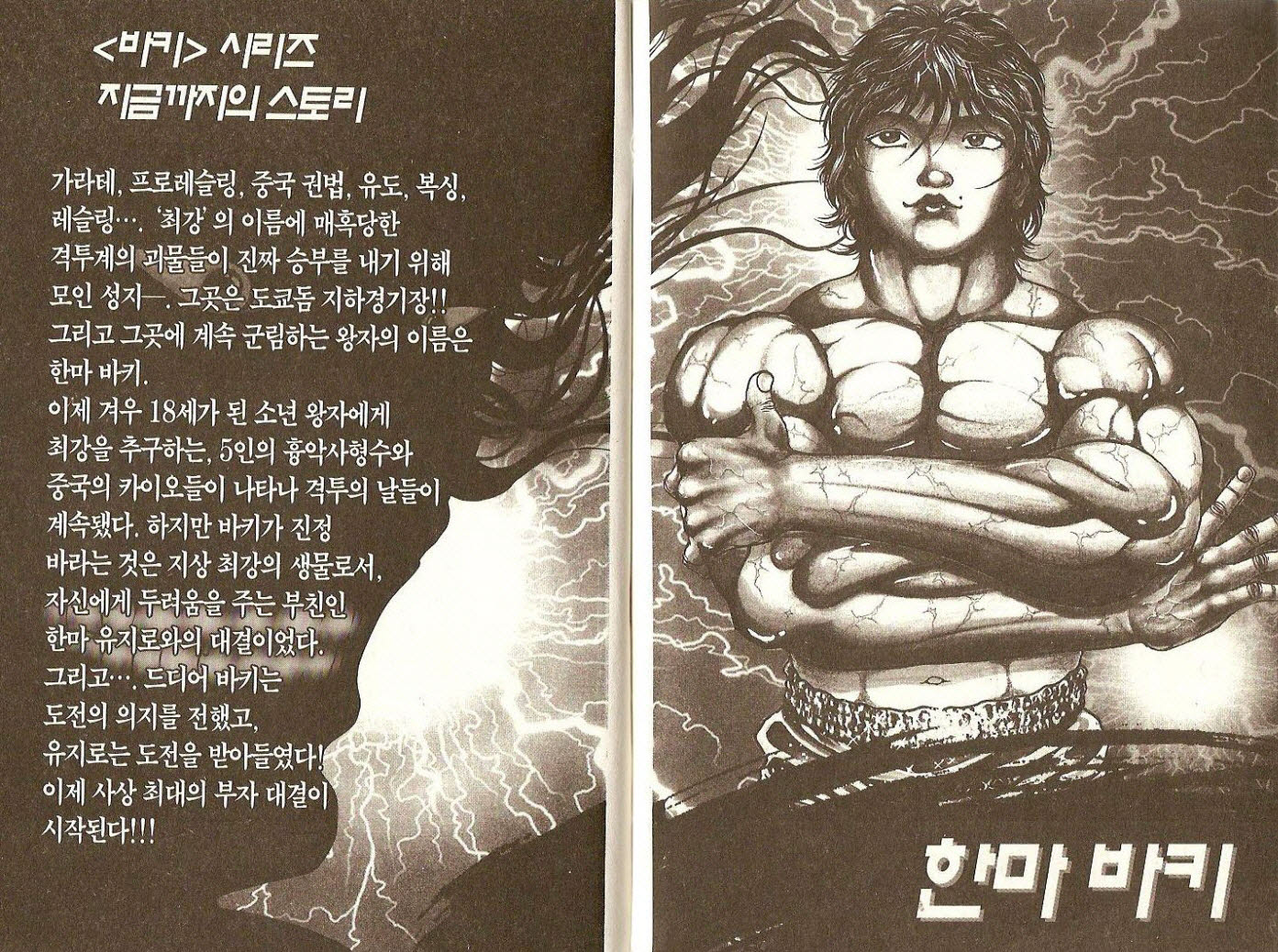 한마바키 10권 - 웹툰 이미지 4