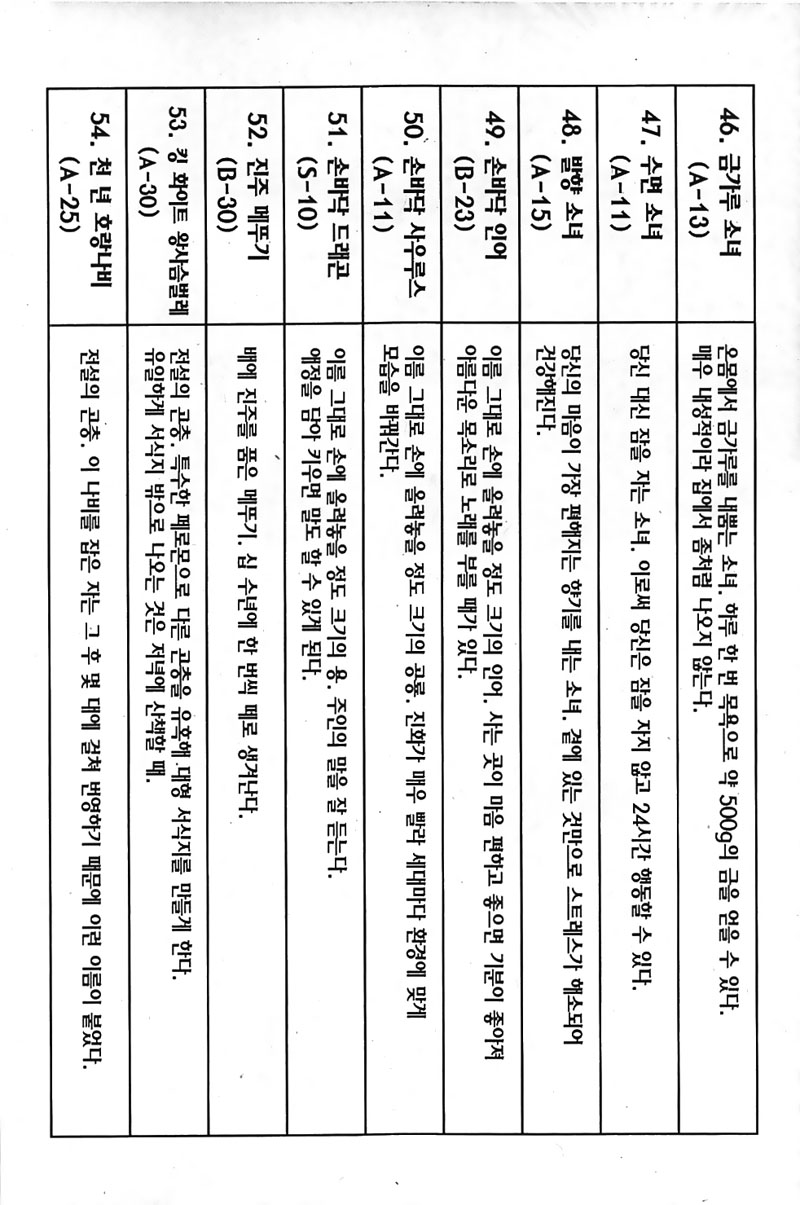 헌터x헌터 17권 - 웹툰 이미지 52