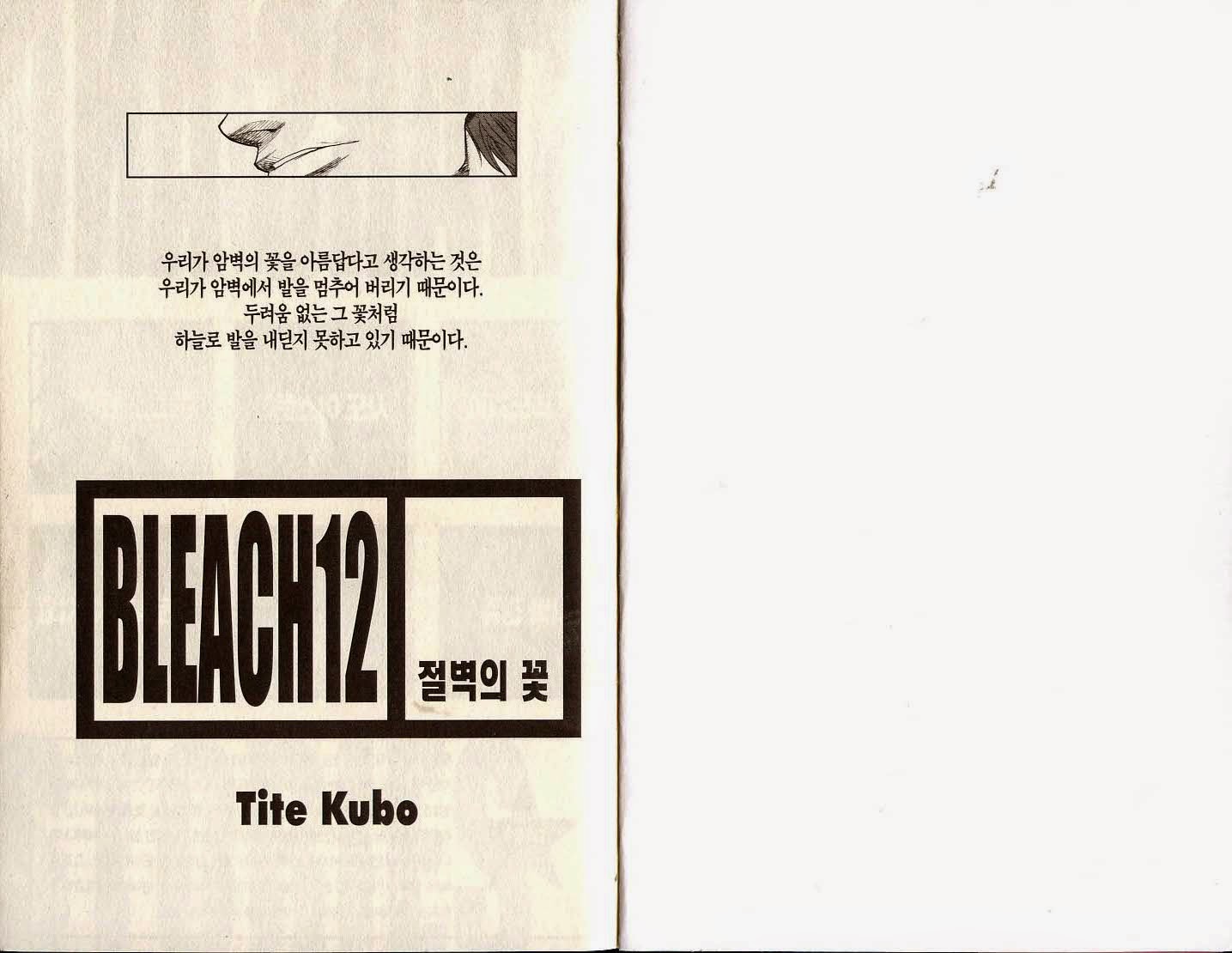 블리치 12권 - 웹툰 이미지 2