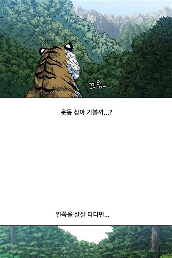 호랑이 형님 2부 21화 - 비녀단의 습격2 - 웹툰 이미지 7