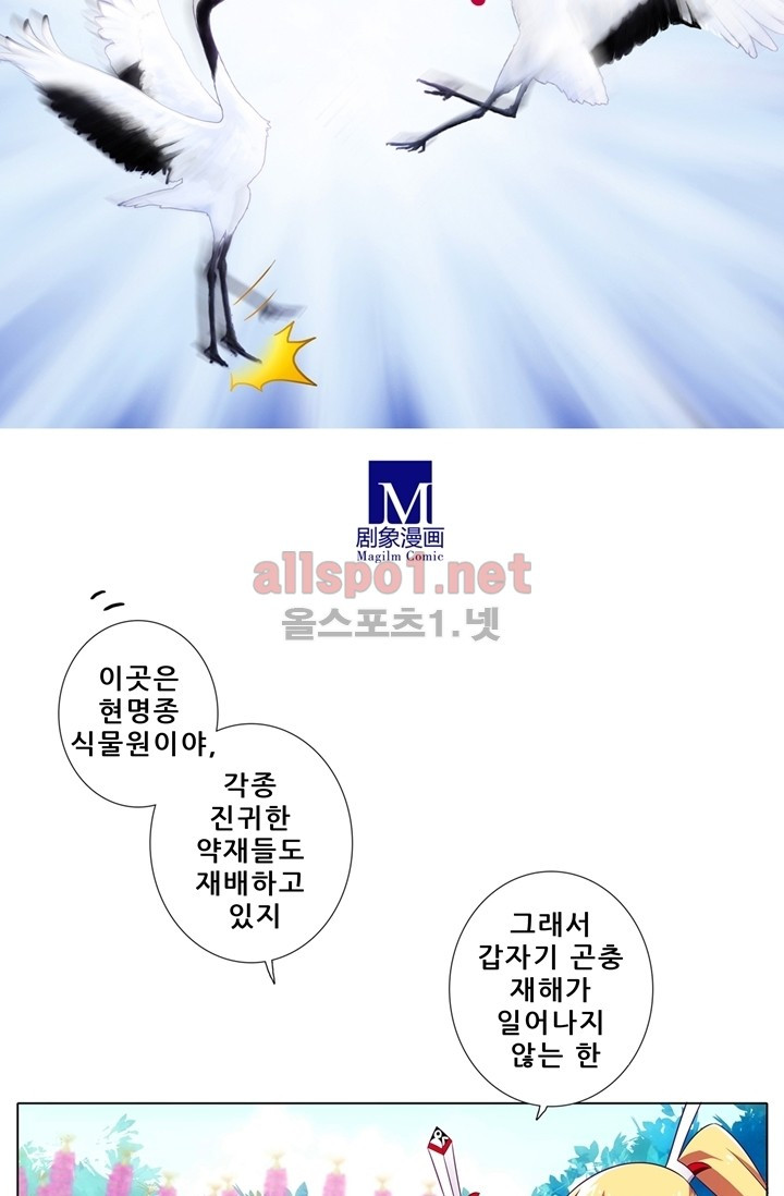 또라이 대사형 무림생존기 51화 - 웹툰 이미지 5