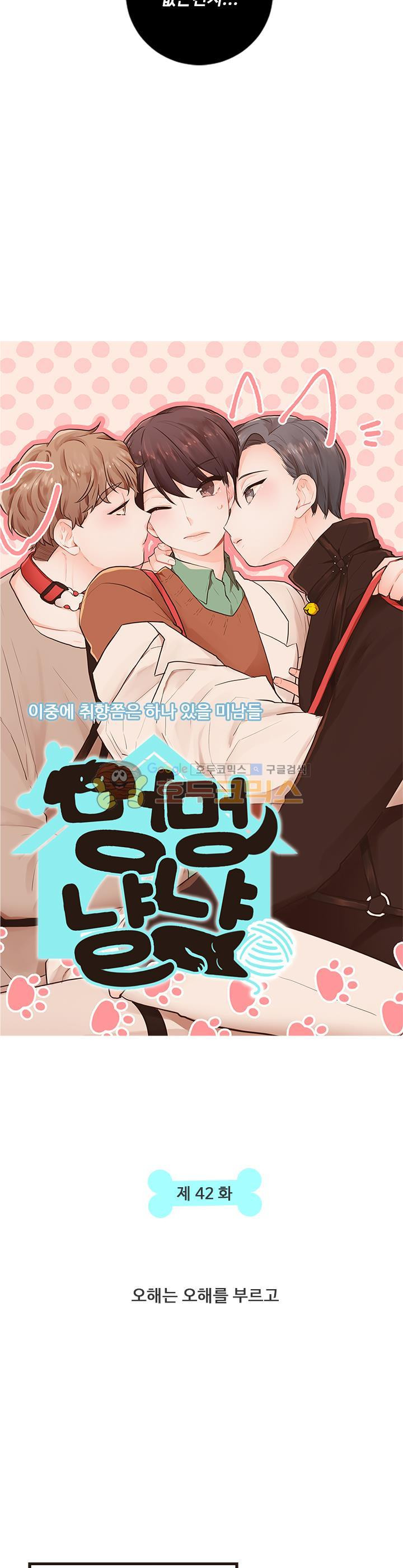 멍멍냥냥 42화 - 오해는 오해를 부르고 - 웹툰 이미지 3