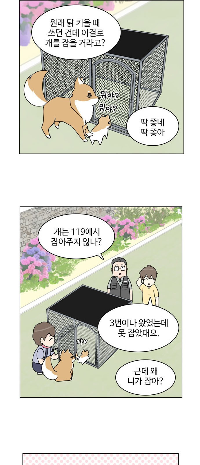 개를 낳았다 19화 - 웹툰 이미지 12