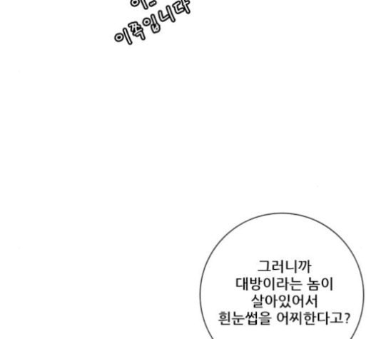 호랑이형님 2부 175화 대방모의 계획 4 - 웹툰 이미지 149