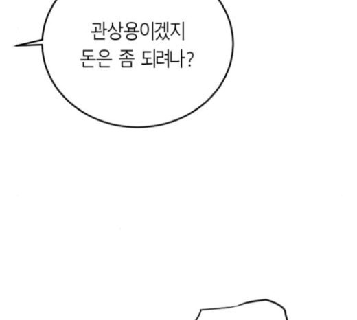 앵무살수 16화 - 웹툰 이미지 202