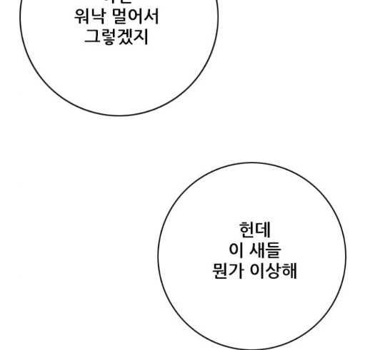 호랑이형님 2부 180화 - 웹툰 이미지 68