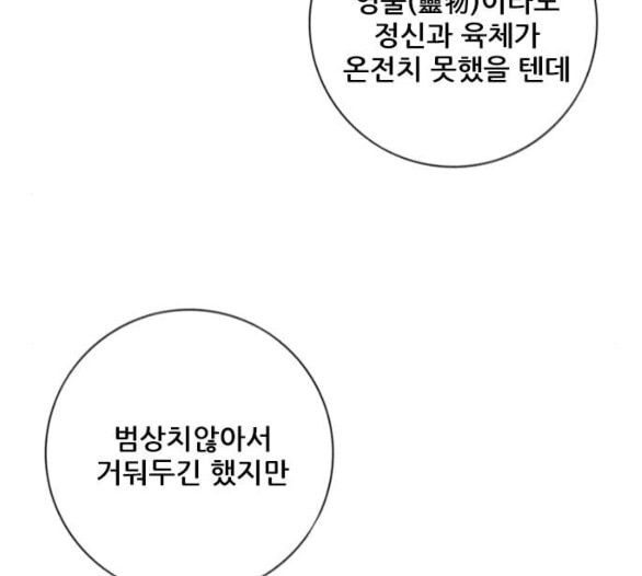 호랑이형님 2부 191화 아린의 범 - 웹툰 이미지 162