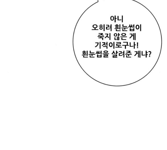 호랑이형님 2부 191화 아린의 범 - 웹툰 이미지 175