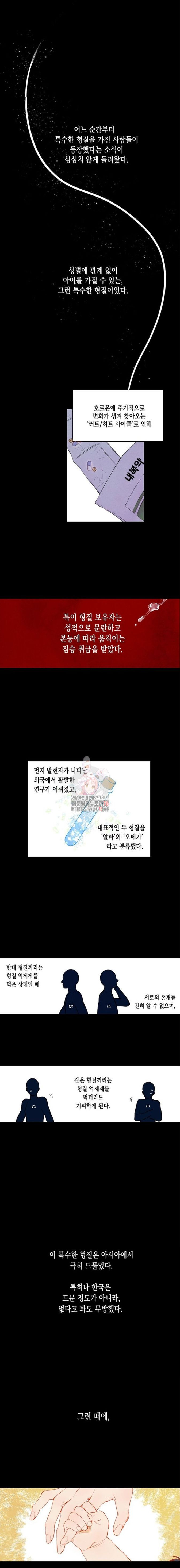 버드나무 로맨스 1화 - 웹툰 이미지 3