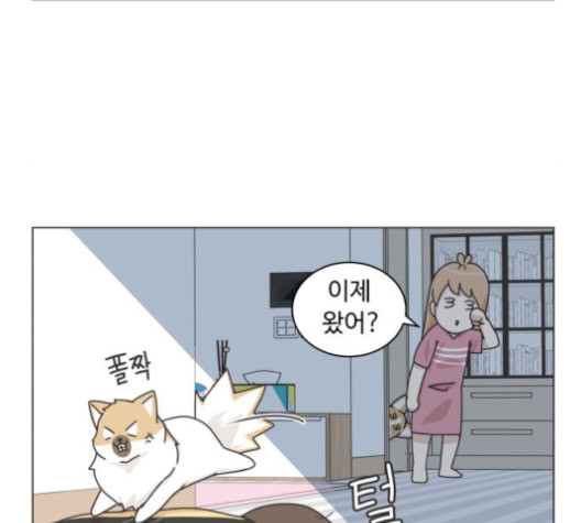 개를 낳았다 시즌2 20화 - 웹툰 이미지 54