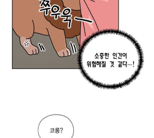 용왕님의 셰프가 되었습니다 35화 - 웹툰 이미지 11