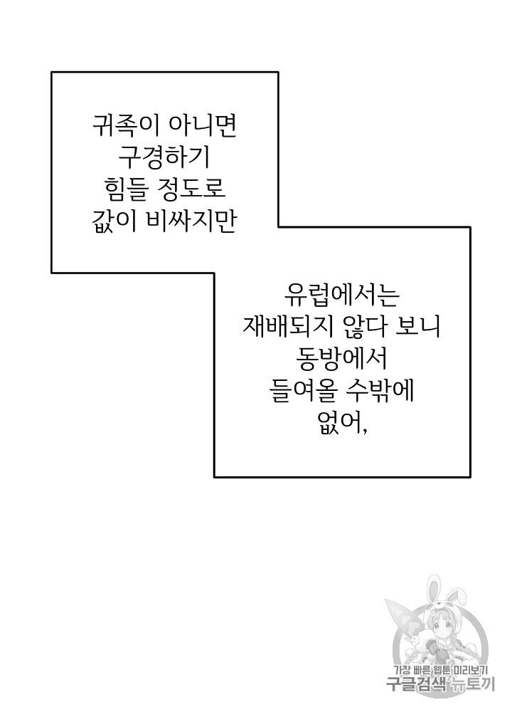 능력 있는 시녀님 45화 - 웹툰 이미지 71