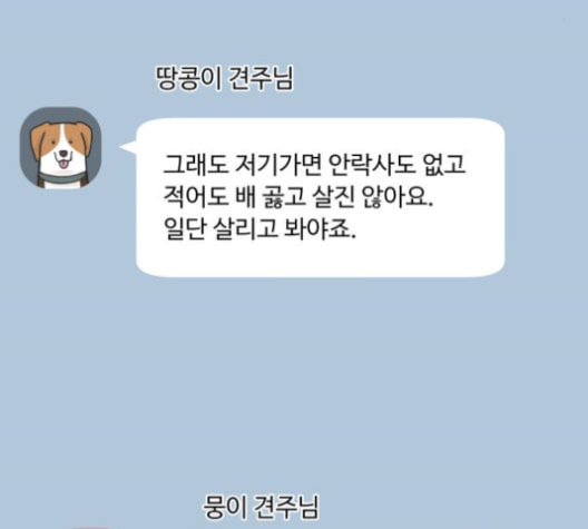 개를 낳았다 시즌2 22화 - 웹툰 이미지 4