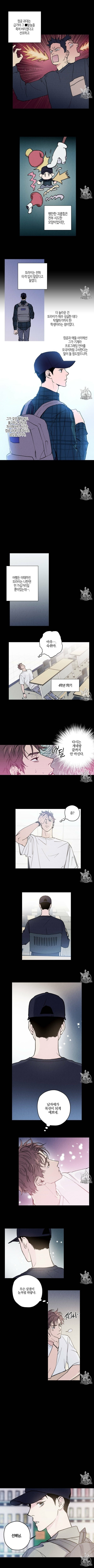 시맨틱 에러 6화 - 웹툰 이미지 5