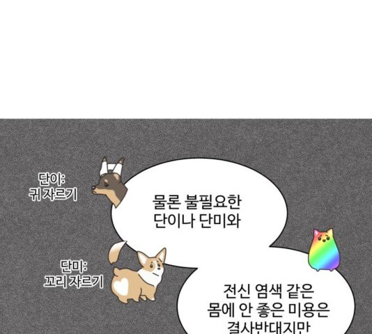 개를 낳았다 시즌2 26화 - 웹툰 이미지 37