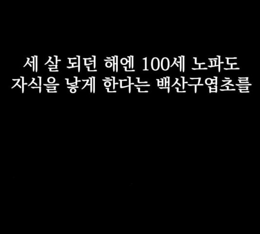 천하제일인 12화 - 웹툰 이미지 63