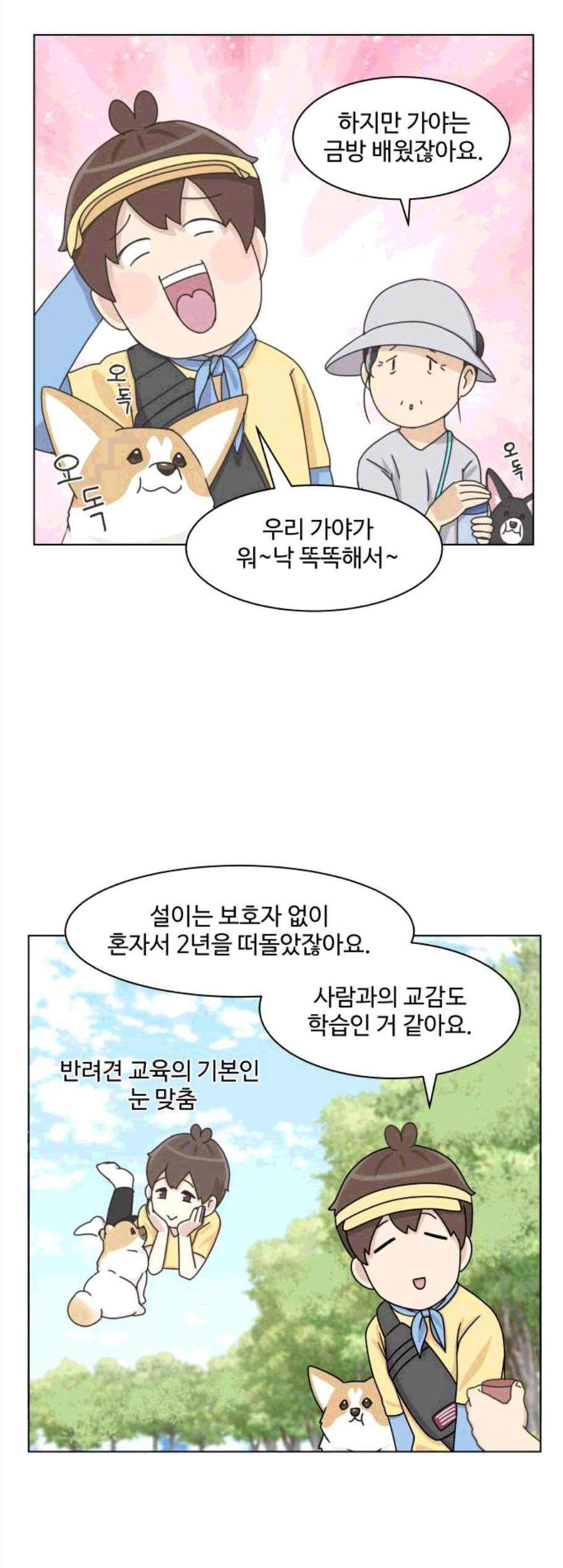 개를 낳았다 시즌2 30화 - 웹툰 이미지 13