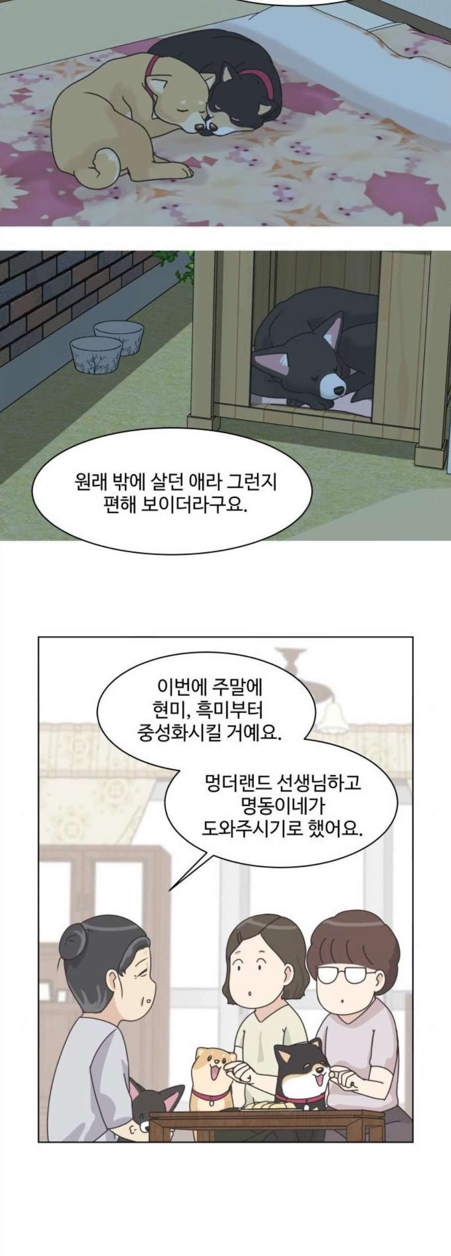 개를 낳았다 시즌2 34화 - 웹툰 이미지 4