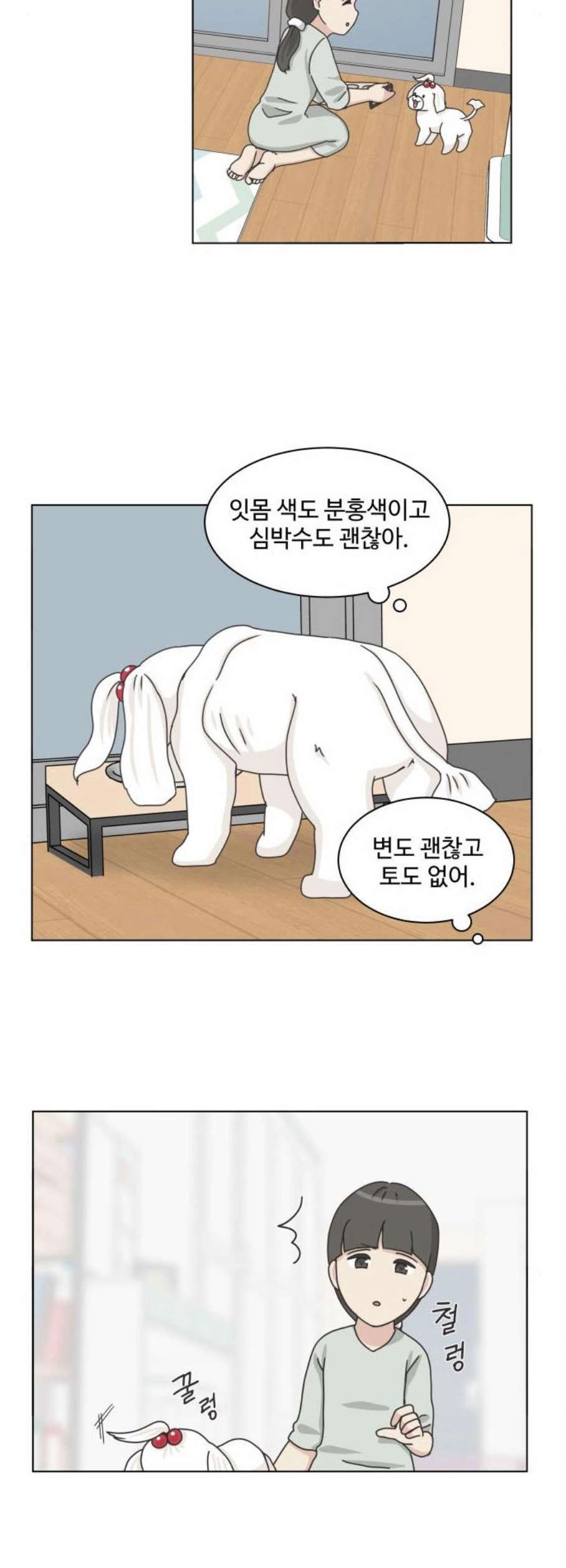 개를 낳았다 시즌2 38화 - 웹툰 이미지 8