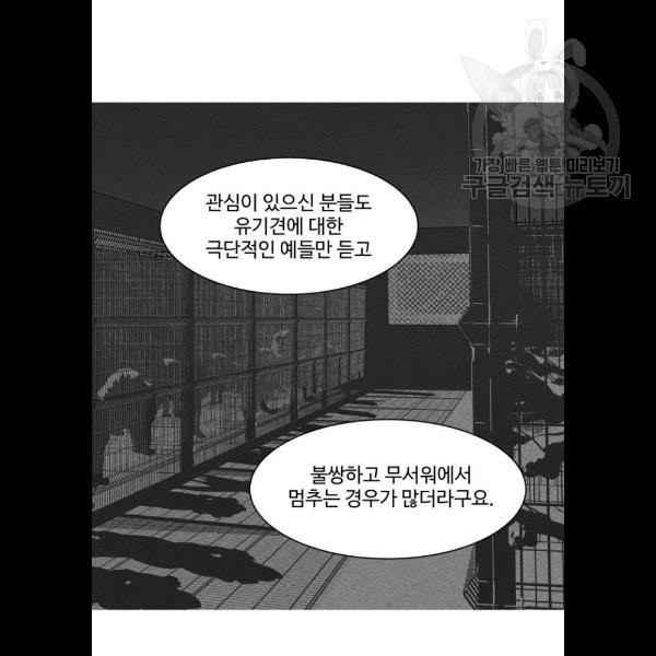 개를 낳았다 시즌2 42화 - 웹툰 이미지 23