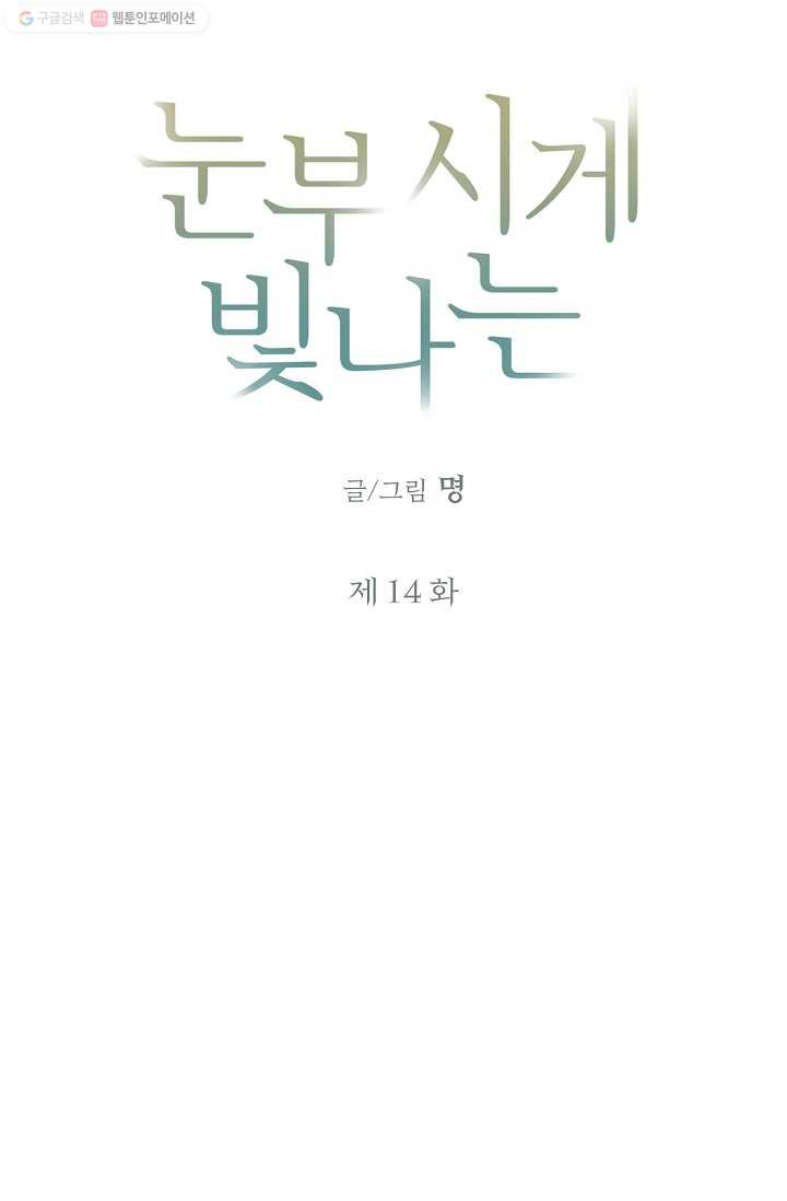 눈부시게 빛나는 14화 - 웹툰 이미지 11