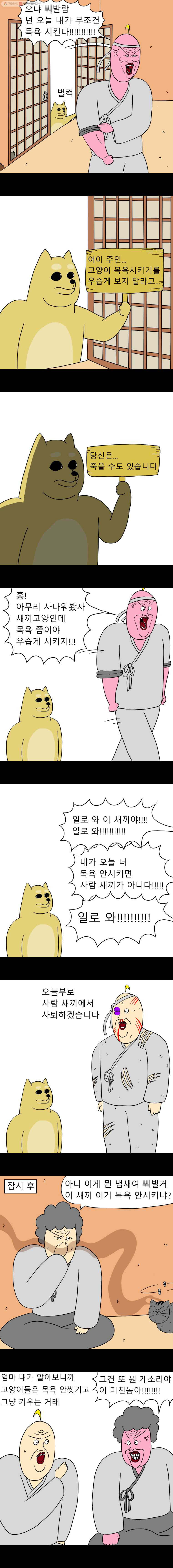 금수친구들 5화 고양이 목욕시키기 대작전(1) - 웹툰 이미지 2