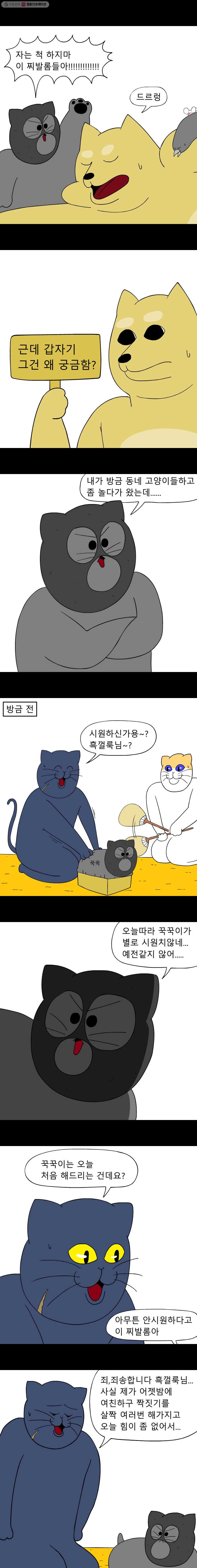 금수친구들 47화 짝짓기 대소동(1) - 웹툰 이미지 2