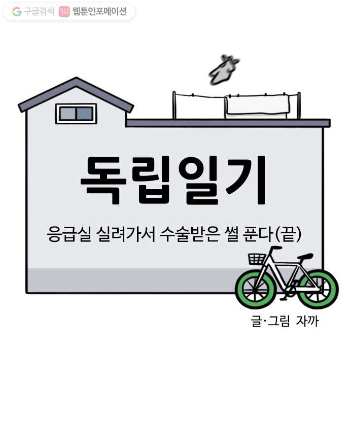 독립일기 50화 응급실 실려가서 수술받은 썰 푼다 (끝) - 웹툰 이미지 2