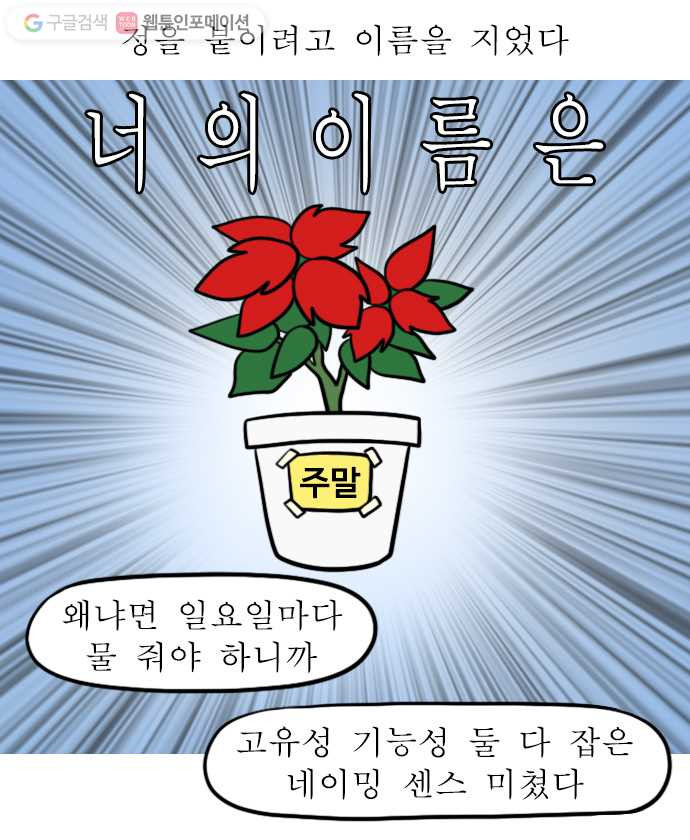 독립일기 57화 반려 식물 - 웹툰 이미지 5