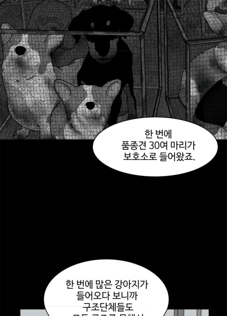 개를 낳았다 시즌2 55화 - 웹툰 이미지 27