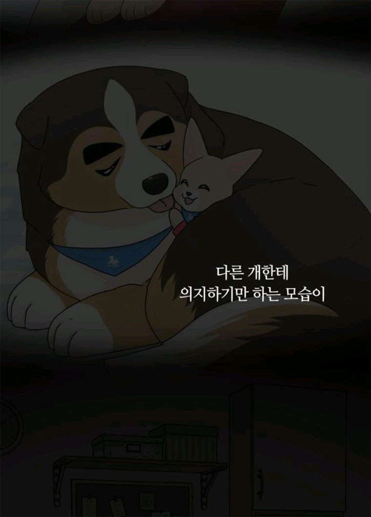 개를 낳았다 시즌2 58화 - 웹툰 이미지 31