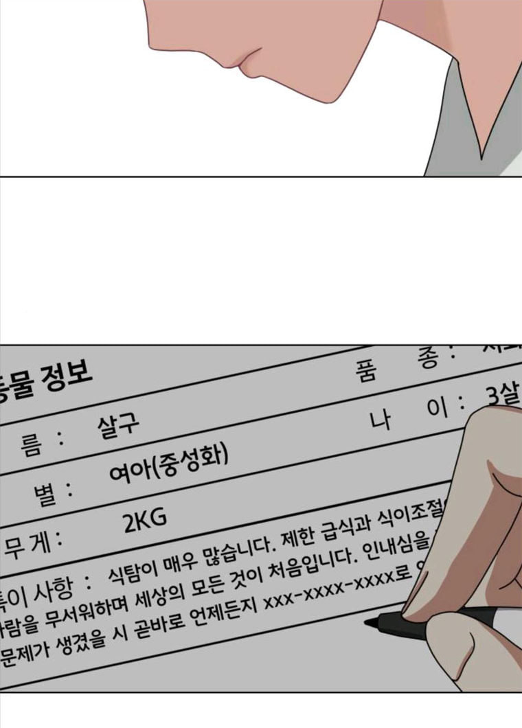 개를 낳았다 시즌2 61화 - 웹툰 이미지 46