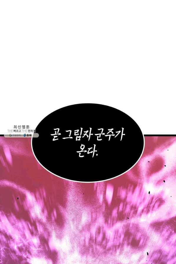 나 혼자만 레벨업 164화 - 웹툰 이미지 81