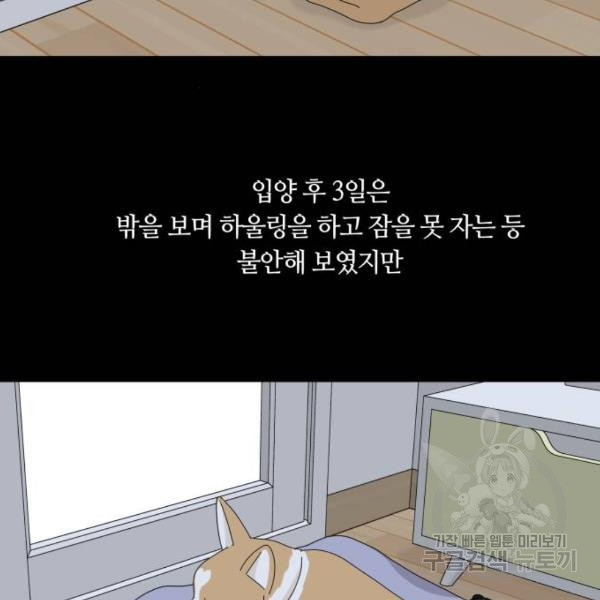 개를 낳았다 시즌2 71화 - 웹툰 이미지 44