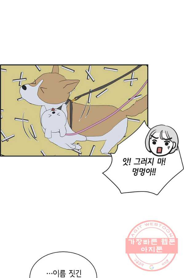 샐러드 데이즈 - 37화 - 웹툰 이미지 59