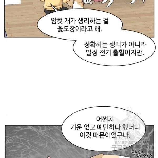 개를 낳았다 시즌2 72화 - 웹툰 이미지 48