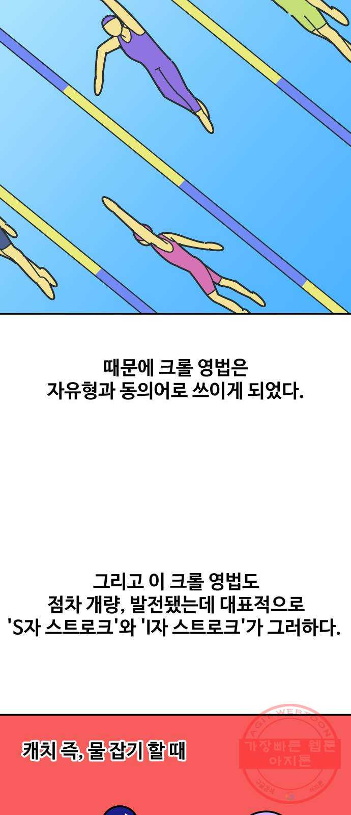 수영만화일기 55화 글라이딩과 스트로크 그리고 물 잡기中下 - 웹툰 이미지 13