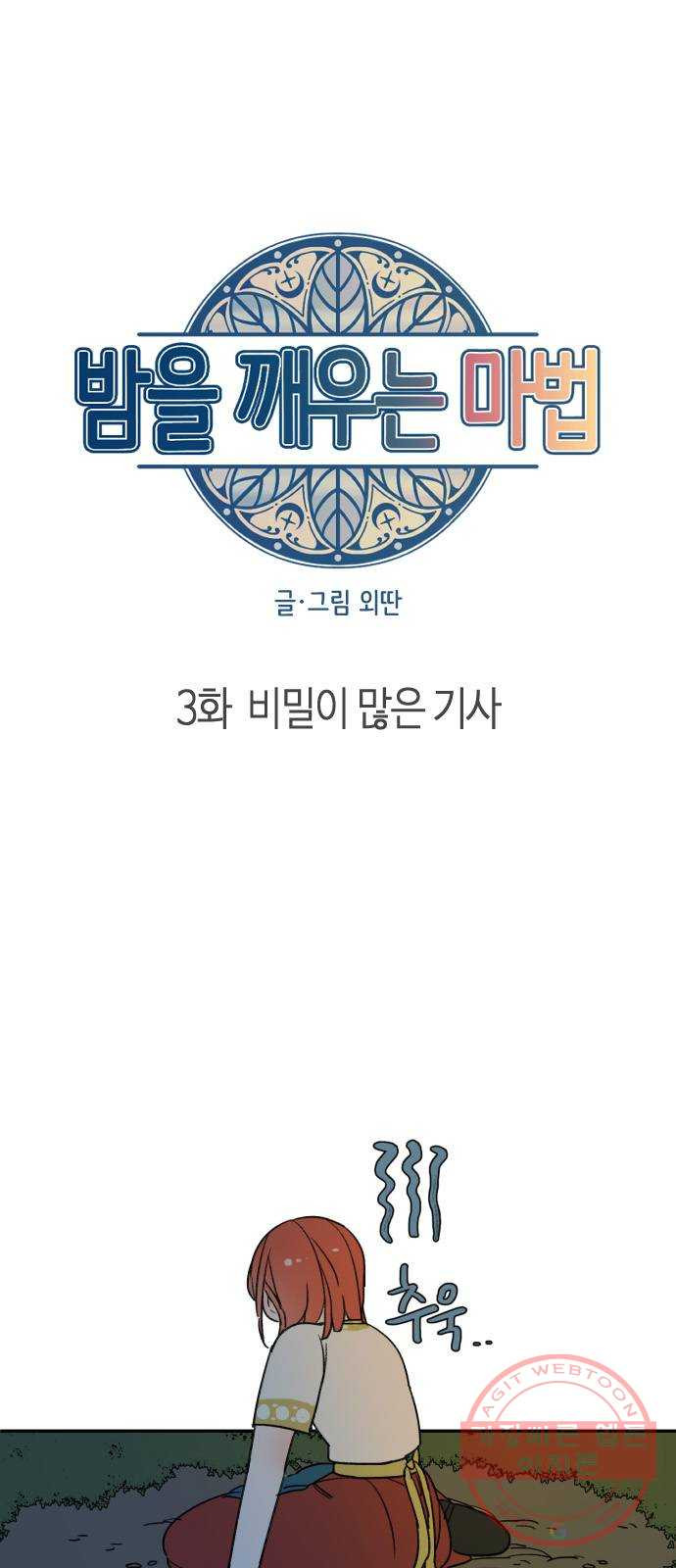 밤을 깨우는 마법 3화 비밀이 많은 기사 - 웹툰 이미지 5