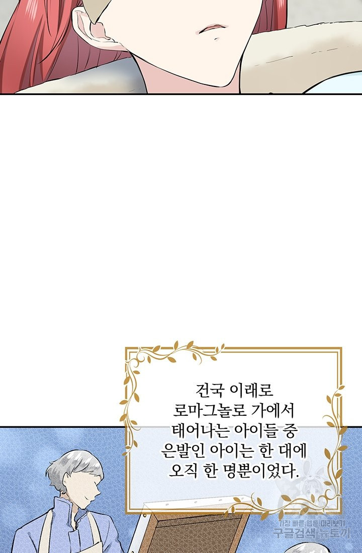 눌리타스 : 절반의 백작 영애 36화 - 웹툰 이미지 20