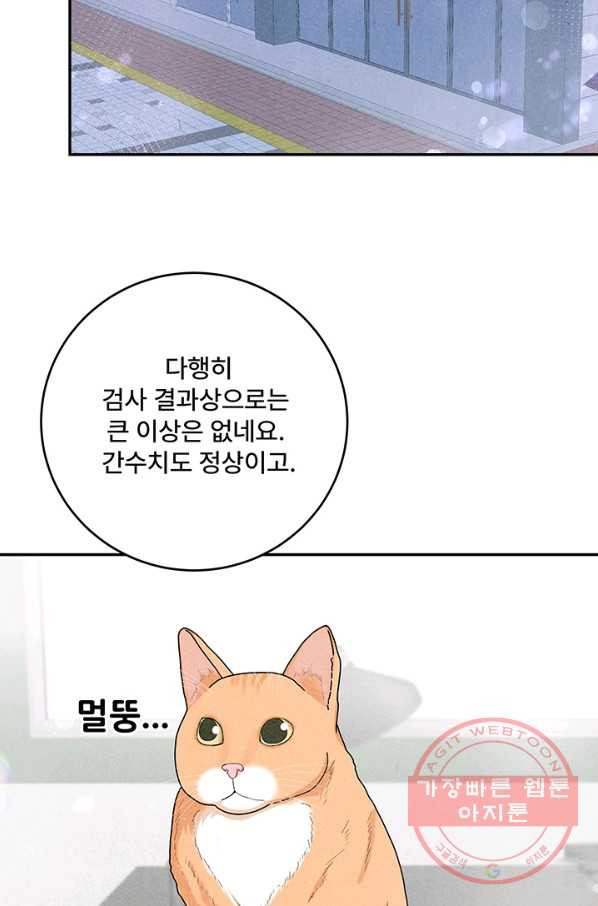 아내를 구하는 4가지 방법 27화 - 웹툰 이미지 2