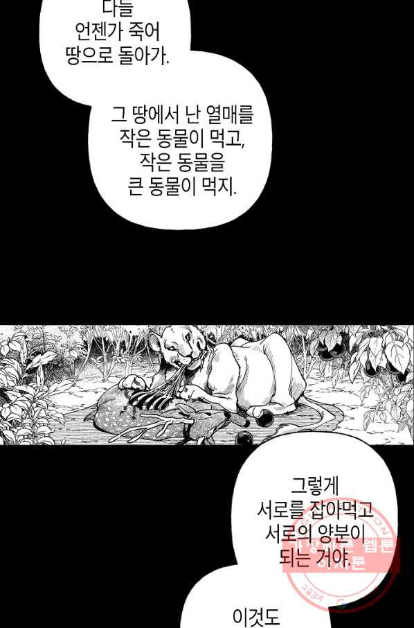 용의 귀로 특별편 그때 그 멧곰은 어디로 갔을까 - 웹툰 이미지 21