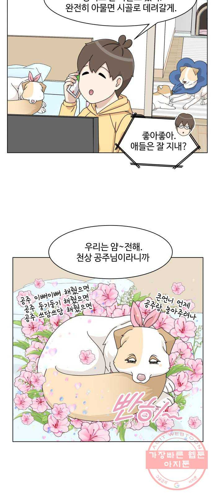 개를 낳았다 시즌2 75화 - 웹툰 이미지 2