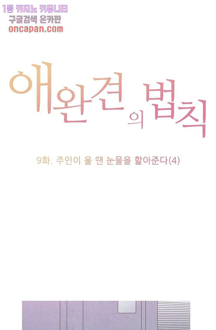 애완견의 법칙 9화 - 웹툰 이미지 1