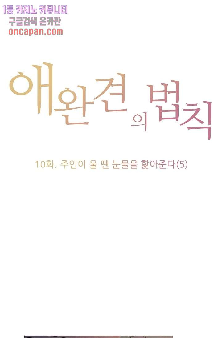 애완견의 법칙 10화 - 웹툰 이미지 1