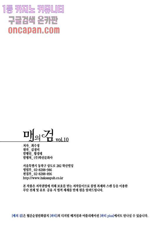 매의 검 10화 - 웹툰 이미지 22