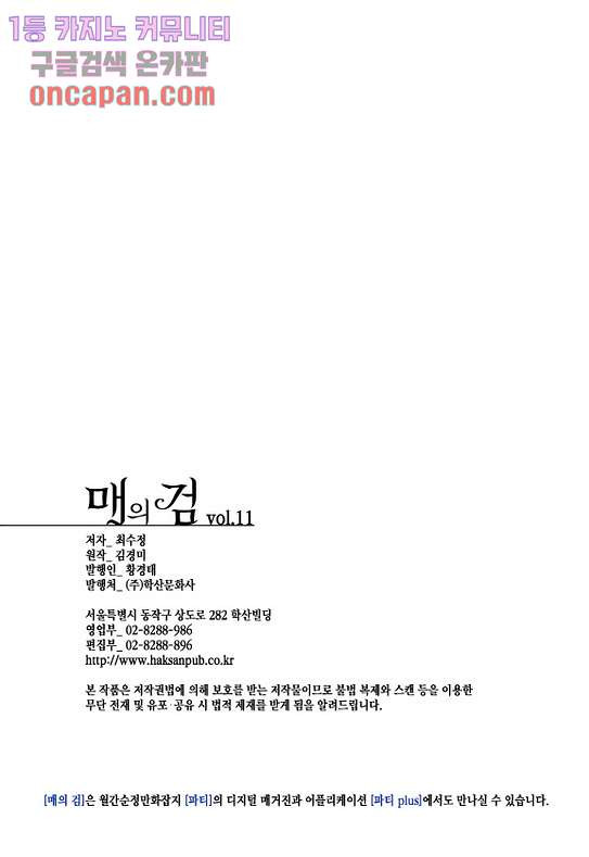 매의 검 11화 - 웹툰 이미지 22