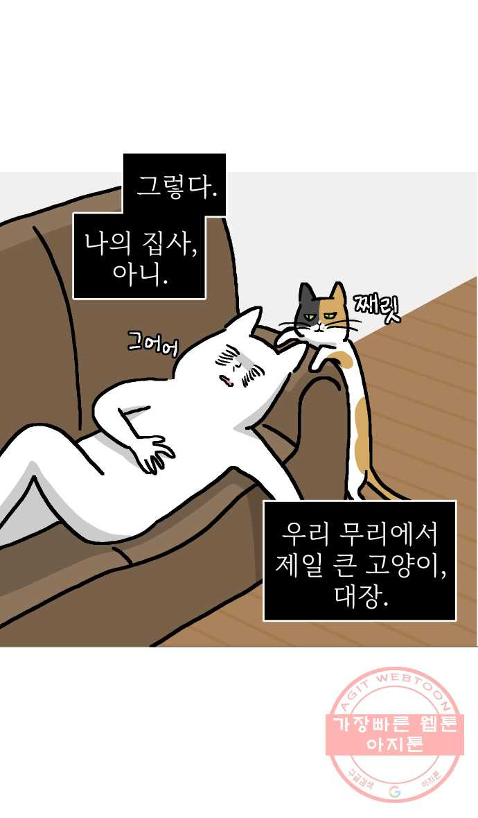 애옹식당 2화 이대로 멘탈 회복?! - 웹툰 이미지 6