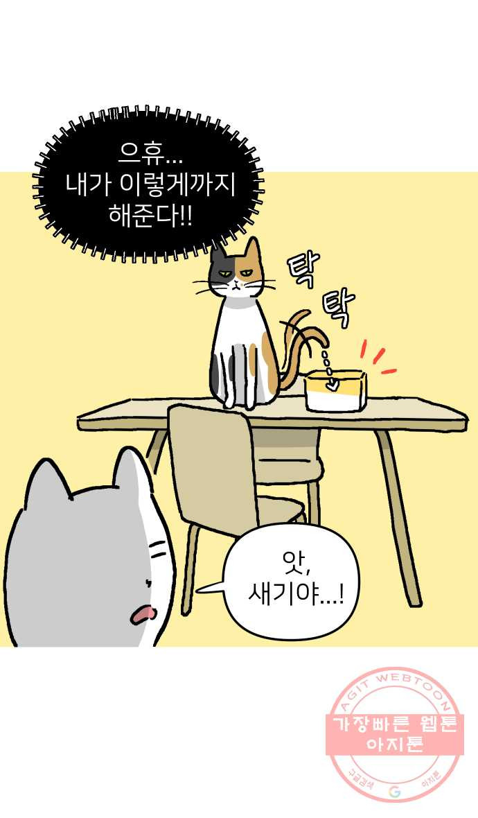 애옹식당 2화 이대로 멘탈 회복?! - 웹툰 이미지 19