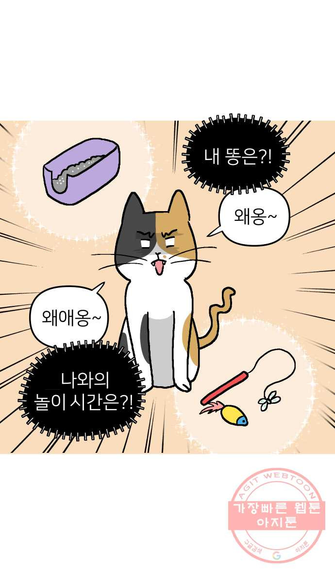 애옹식당 2화 이대로 멘탈 회복?! - 웹툰 이미지 36